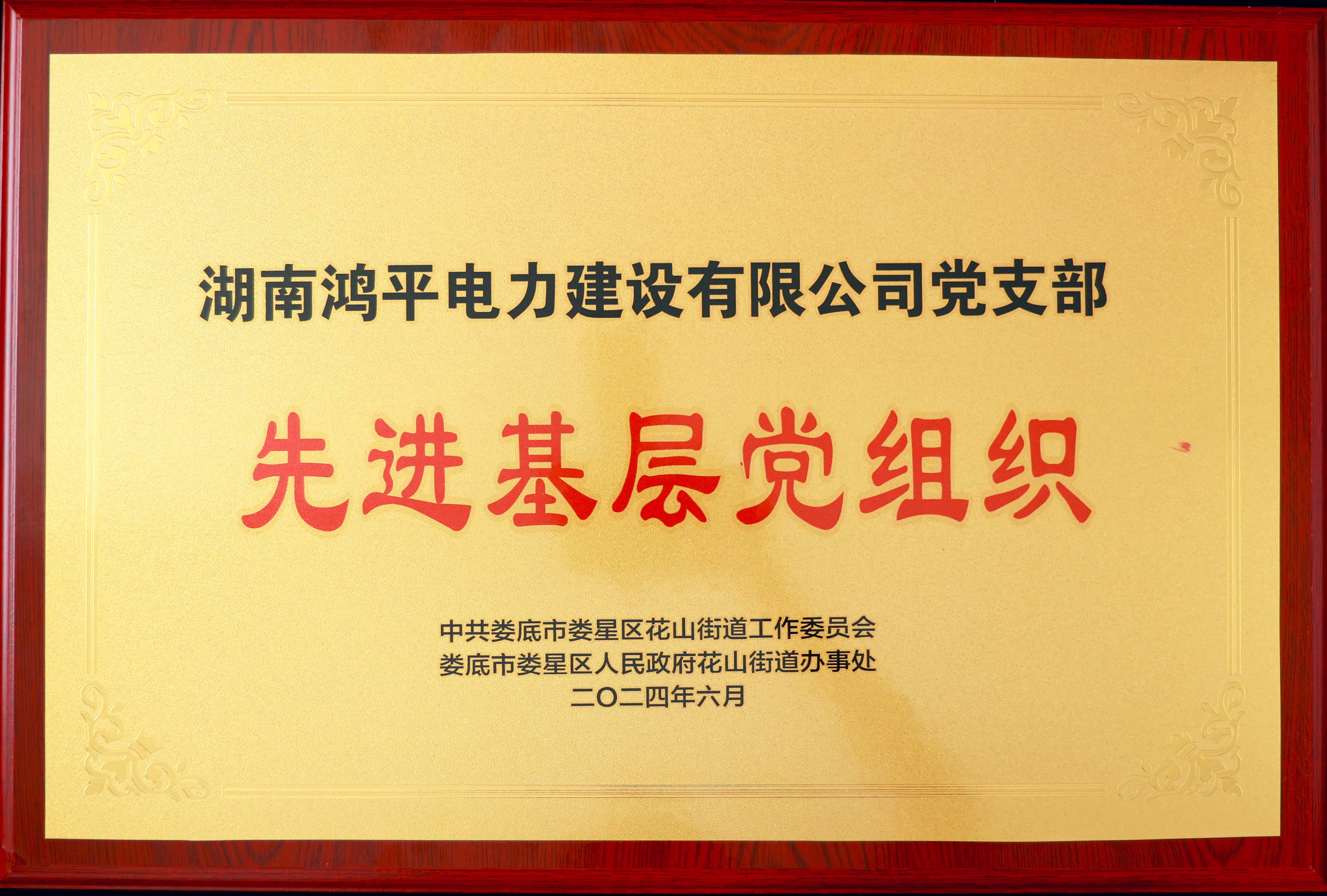 先進(jìn)基層黨組織