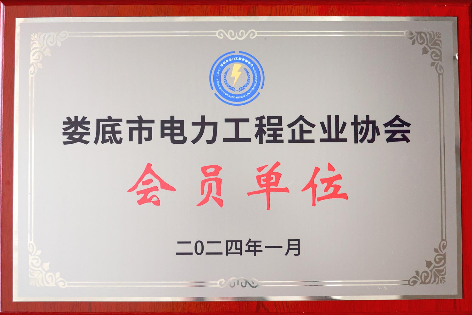 2024年電力會員單位